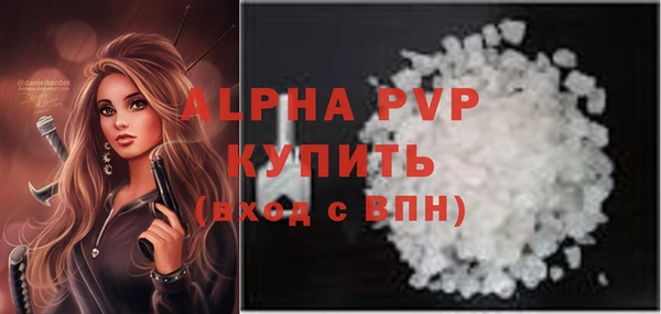 эйфоретик Богданович