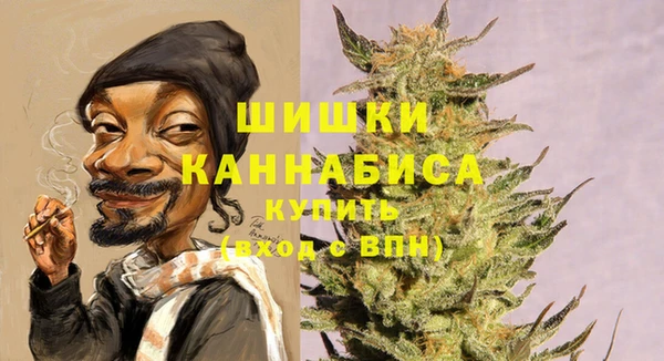 эйфоретик Богданович