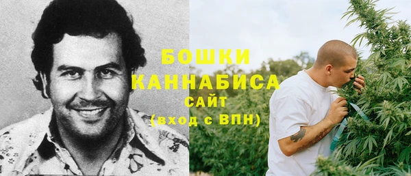 эйфоретик Богданович