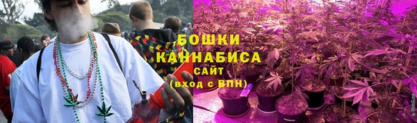 МДПВ Богородицк