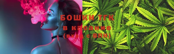 эйфоретик Богданович