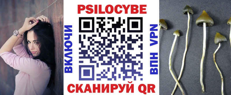 Псилоцибиновые грибы Psilocybine cubensis  Купить  Покровск 